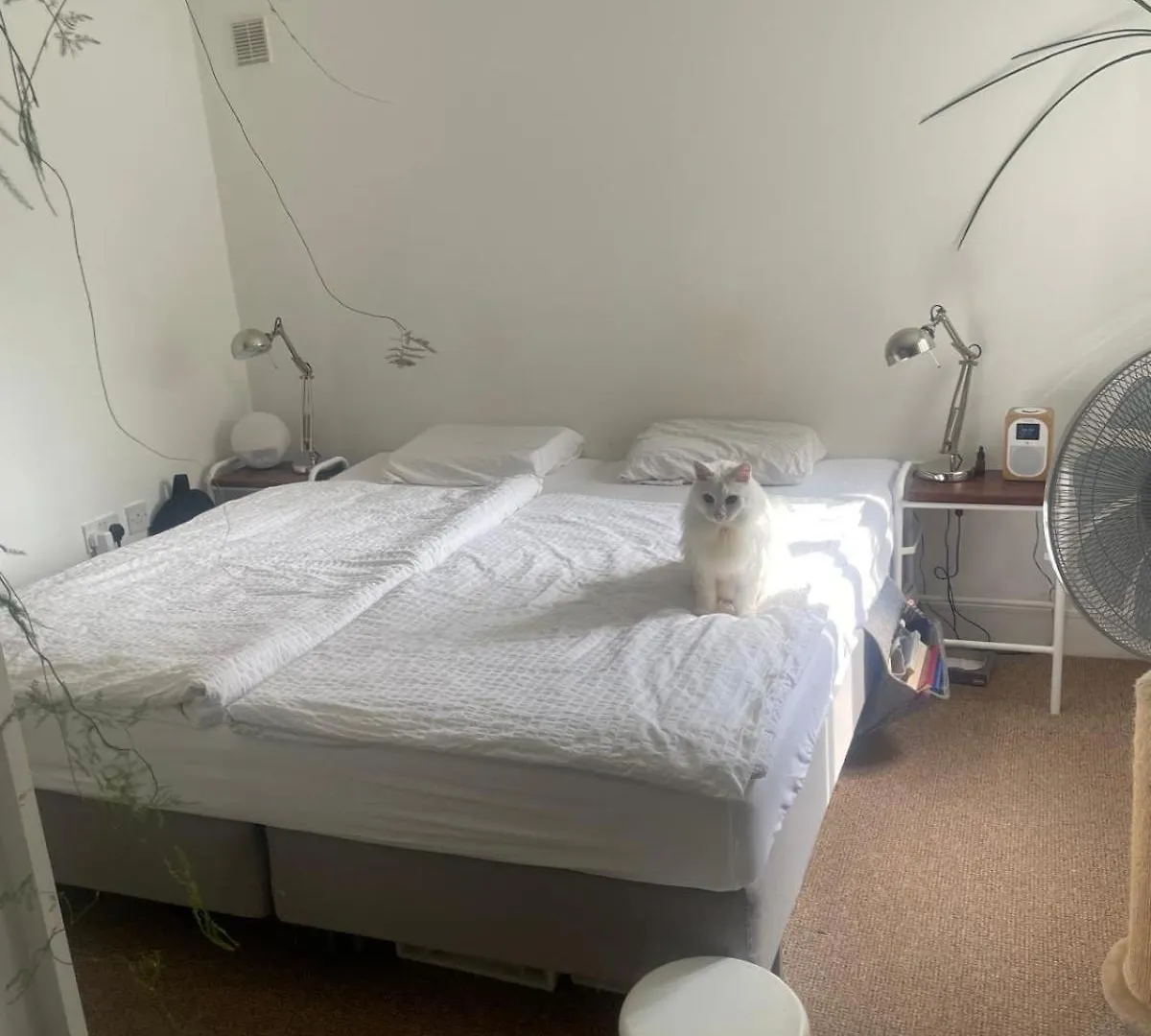 London One Bedroom Apartment In A Gated Community United Kingdom
